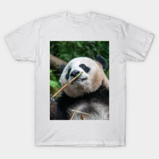 Panda Bamboo Smells Good T-Shirt